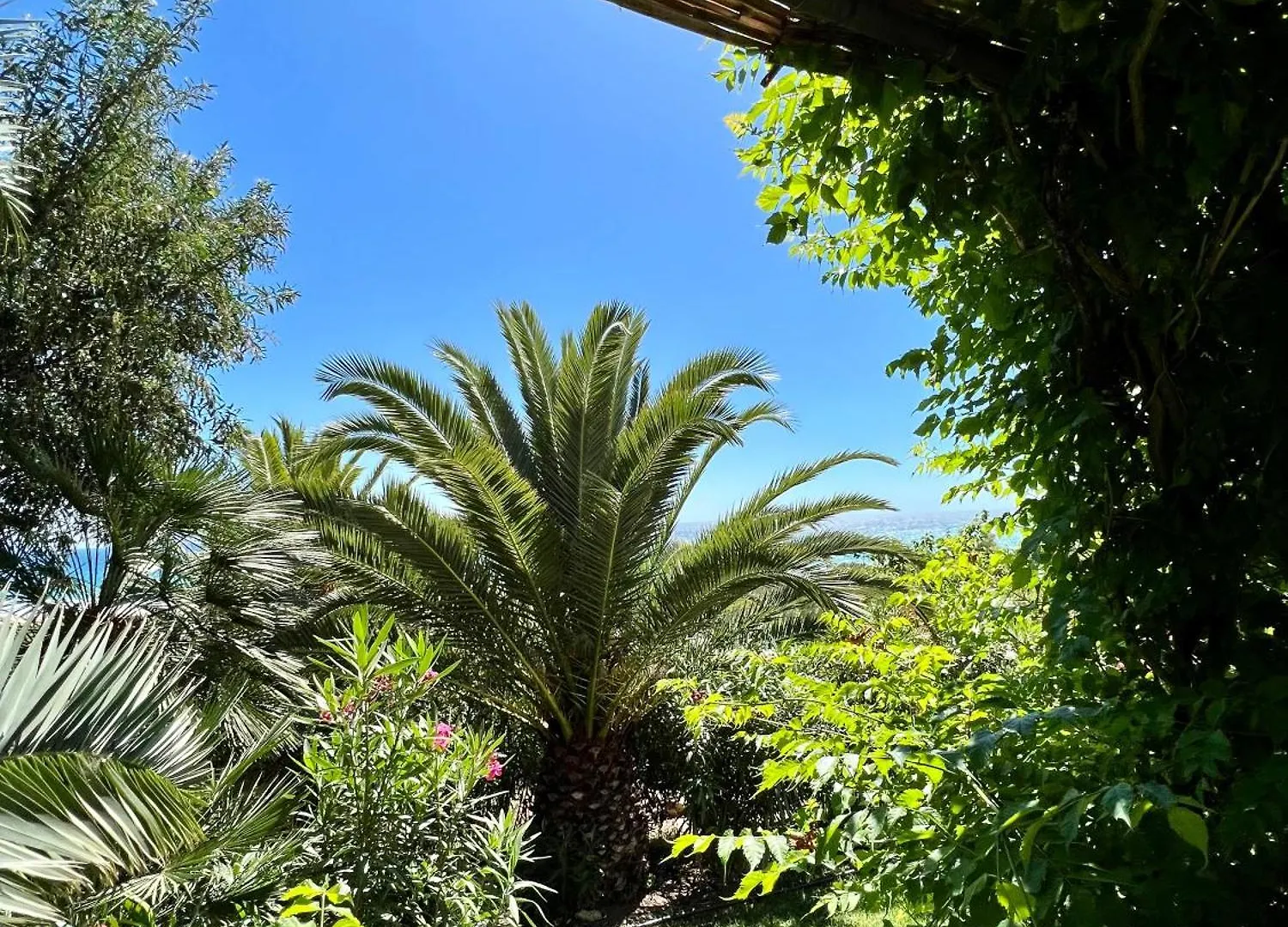 סהרה דה לוס אטונס Apartments In Romantic, Private Beachvilla סהרה דה לוס אטונס